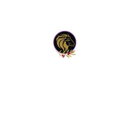 Cafentity Tranparent
